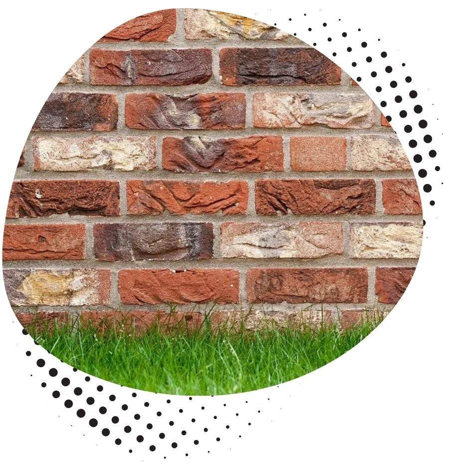 Wall